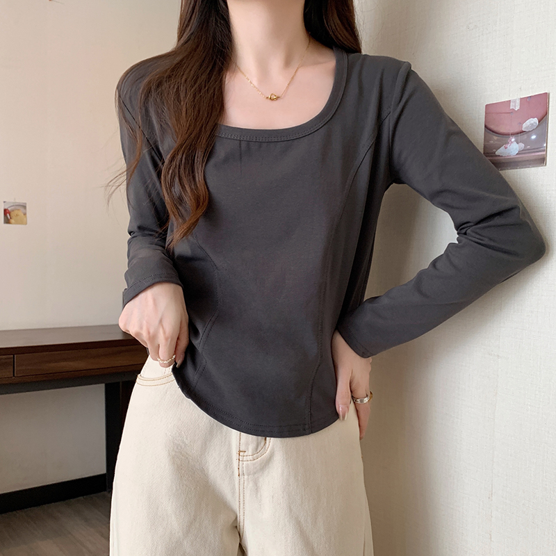 Plus Size Round Neck Long Sleeve T-Shirt Slimming Fall 2026 Base Layer Top - Image 5