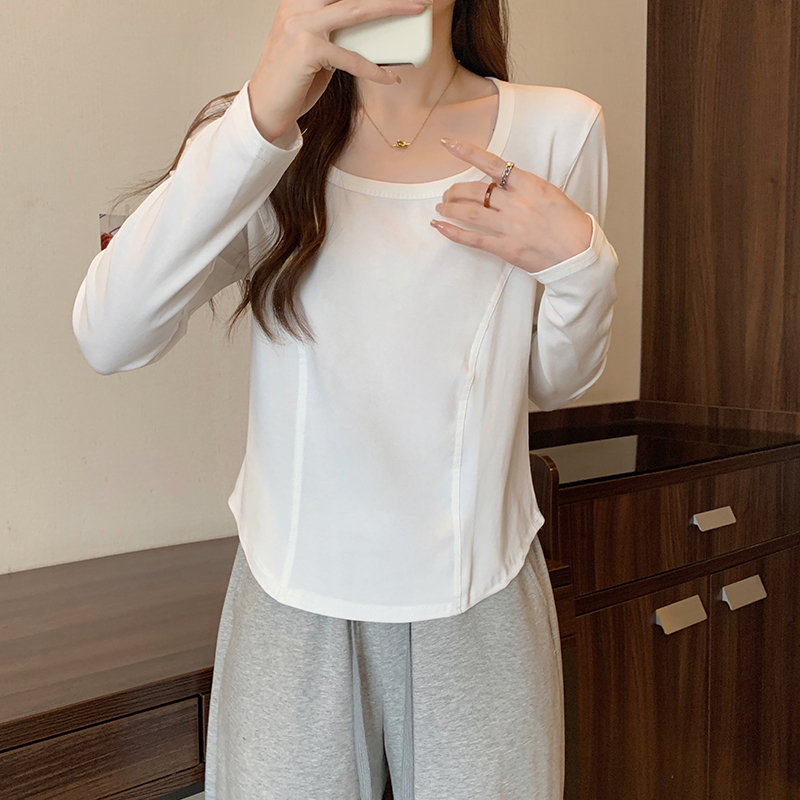 Plus Size Round Neck Long Sleeve T-Shirt Slimming Fall 2026 Base Layer Top - Image 2